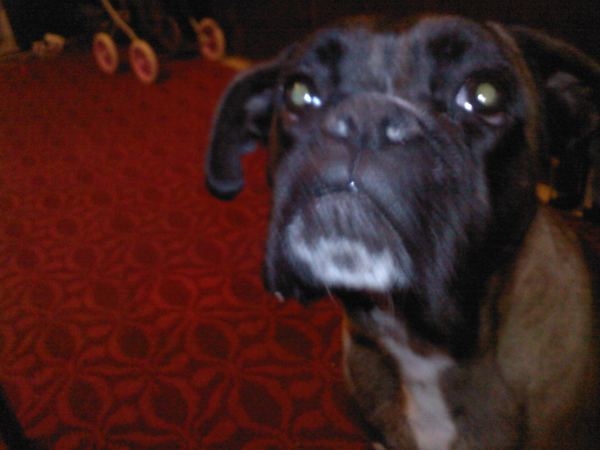 SP_A0406.jpg